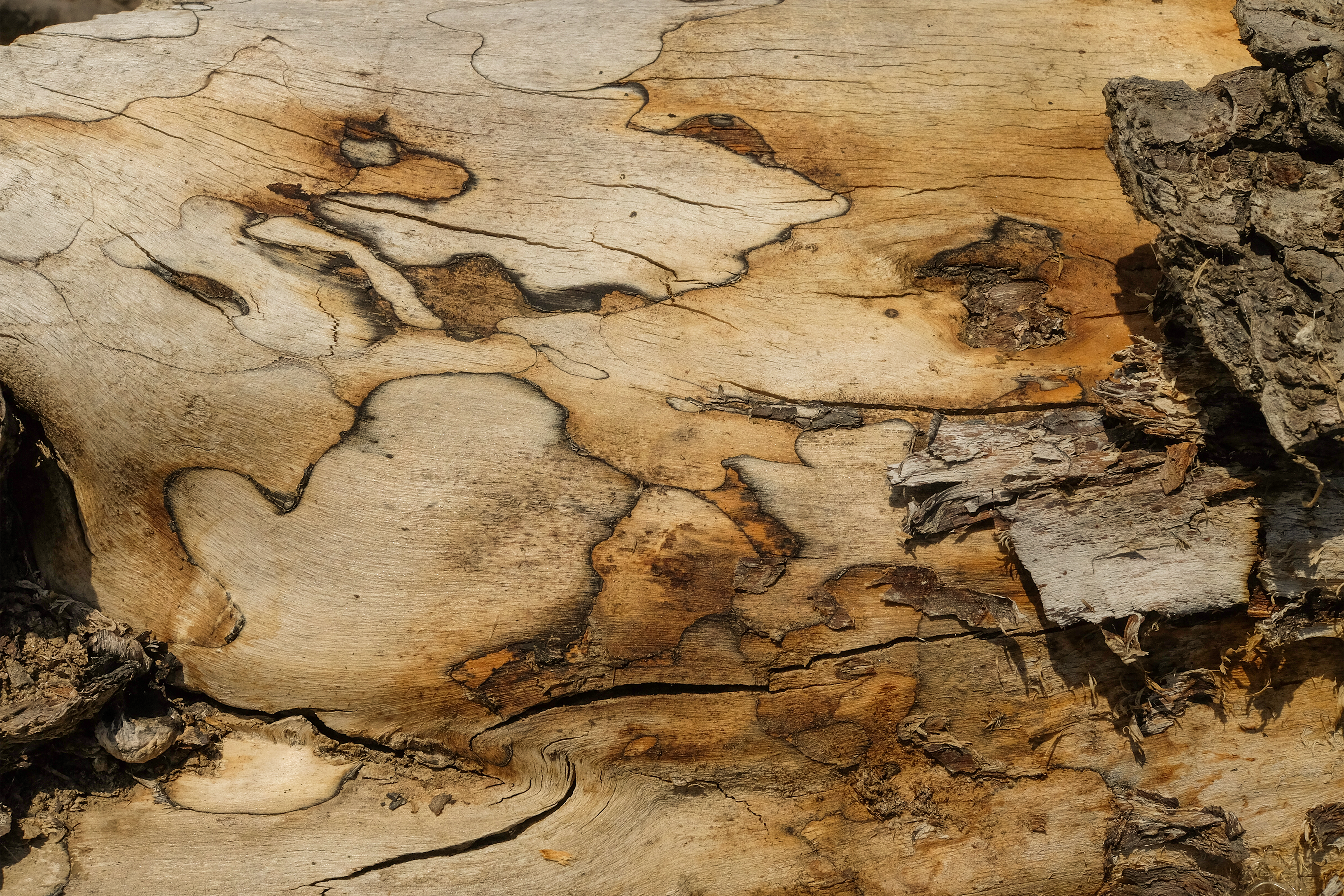 Wnętrze pracowni Arbitraż Sztuki